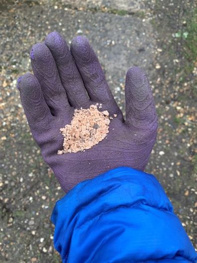 Gloved hand with a heaped teaspoon worth of salt grit