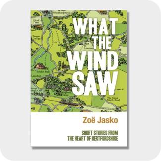 What the wind saw book art