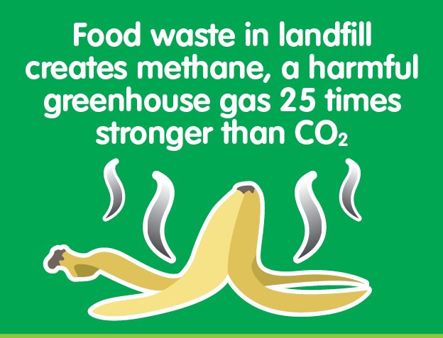 Food waste in landfill creates methane, a harmful greenhouse gas 25 times stronger than carbon dioxide.