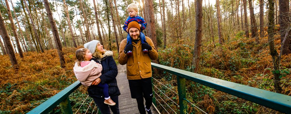 Family walking through the woods