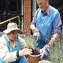 A man potting a plant at North Herts day service for older people.