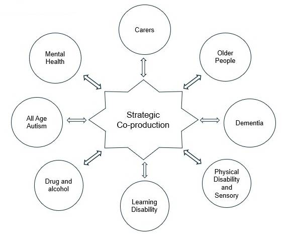 Co-production model