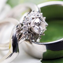 Close up of 2 wedding rings