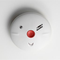 Smoke alarm test