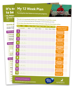 Actvity planner for Never Too Late campaign