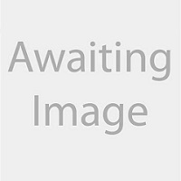 Awaiting image