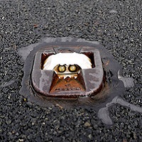 Cats eye