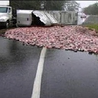 Lorry shed load