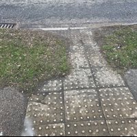 Pavement verge overgrown