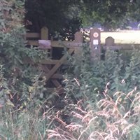 Rights of way overgrown