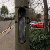 Street light open
