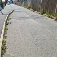 Weeds on carriageway