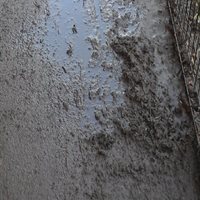 Mud on Footway