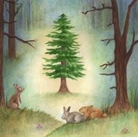 DEC fir tree