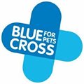 WGC Blue Cross