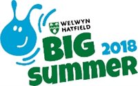 Hat Big summer 18