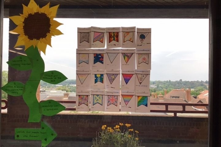 Pictures of bunting and a sunflower on a window