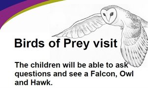 enewsletter March Birds of prey