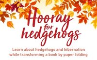 hooray for hedgehogs