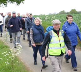 join the mass health walk