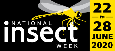 national insect week