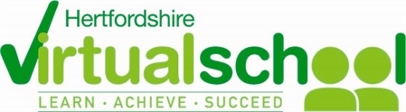 Virtual School logo