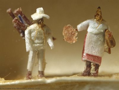 fleas dressed up in outfits