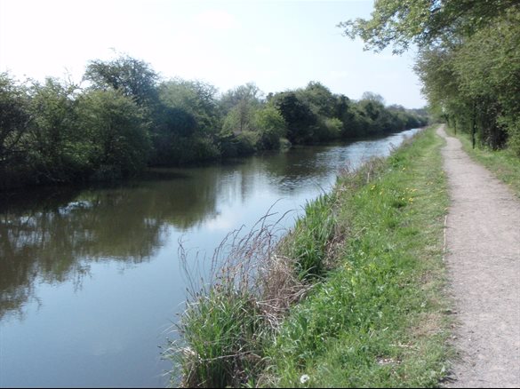 River Stort navigation, Hunsdon Mead, 05-10, eb