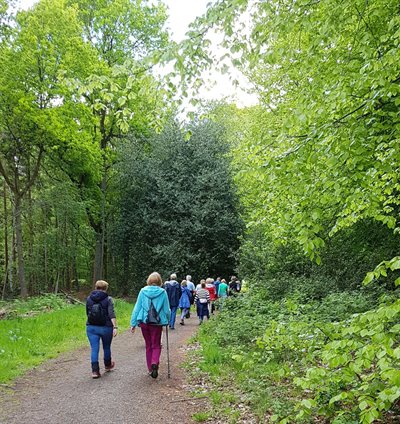 Tring Park May17