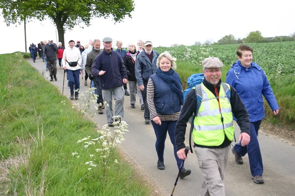 Health walk with a male leader in high viz