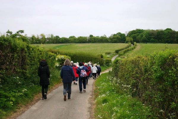 health walk