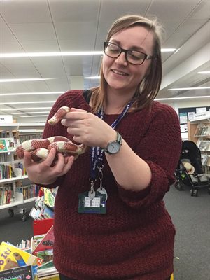 Litfest - Snake from Zoolab at Harpenden Library