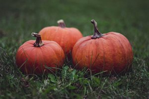 pumpkin
