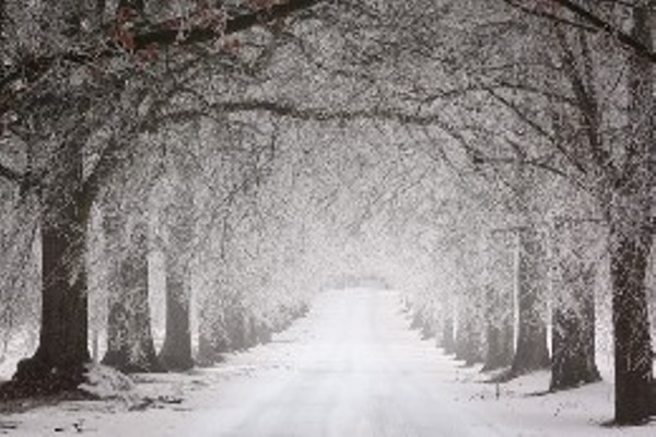 winter image