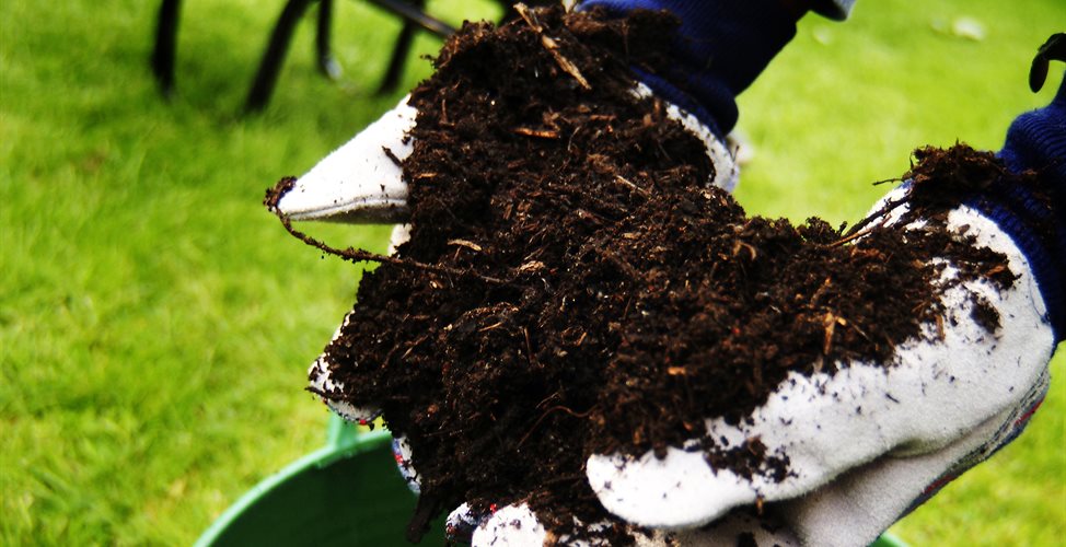 Handful of compost above bucket of compost