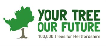 62066 Trees Logo