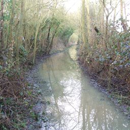 Flooded path