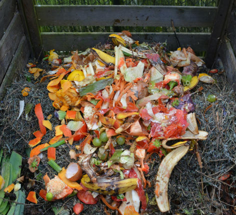 Food compost 470x430