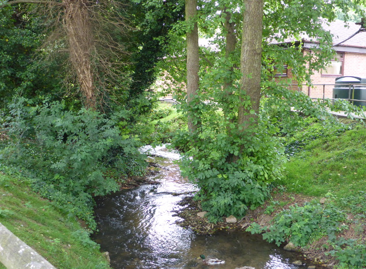 Image of an ordinary watercourse