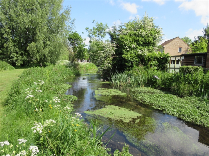 CMS Meadow and Pond cropped 720x540