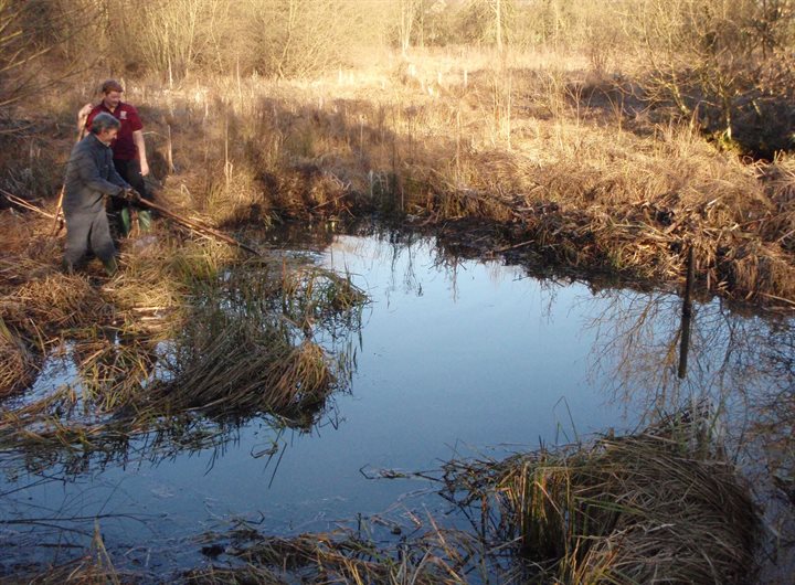 Pond management Hertfordshire County Council www.hertfordshire.gov.uk