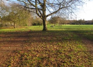 Victoria playing field