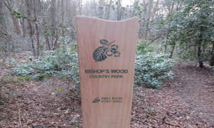 Bishop's Wood