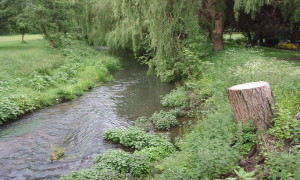 Castle Park