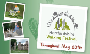 Hertfordshire Walking Festival May 2016