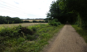 Nickey Line