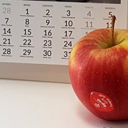 A calendar and an apple
