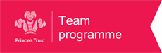 princes trust team programme logo