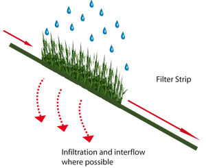 Water - solutions - filter strip