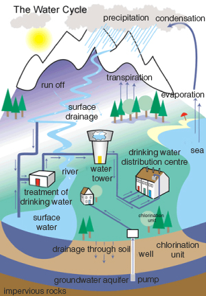 water - basic principles - water cycle